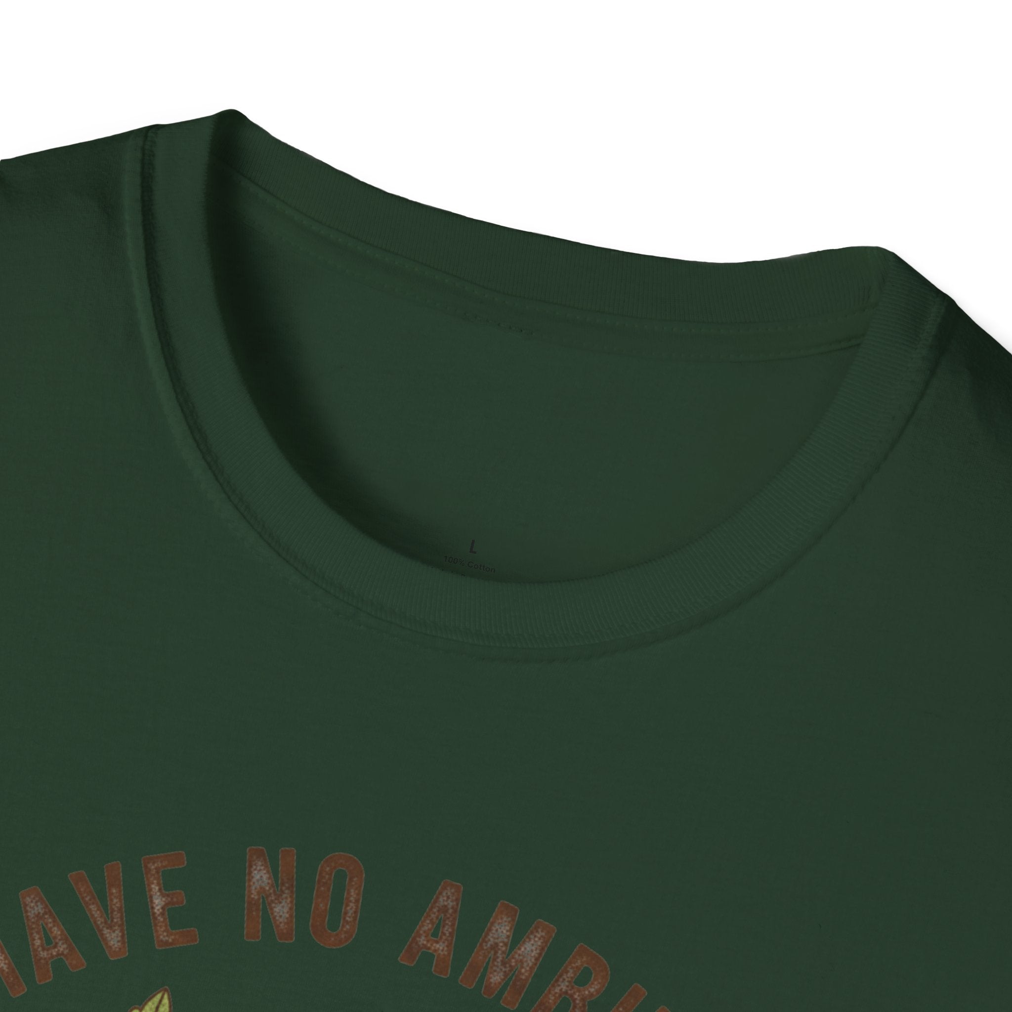 I Have No Ambitions T-Shirt