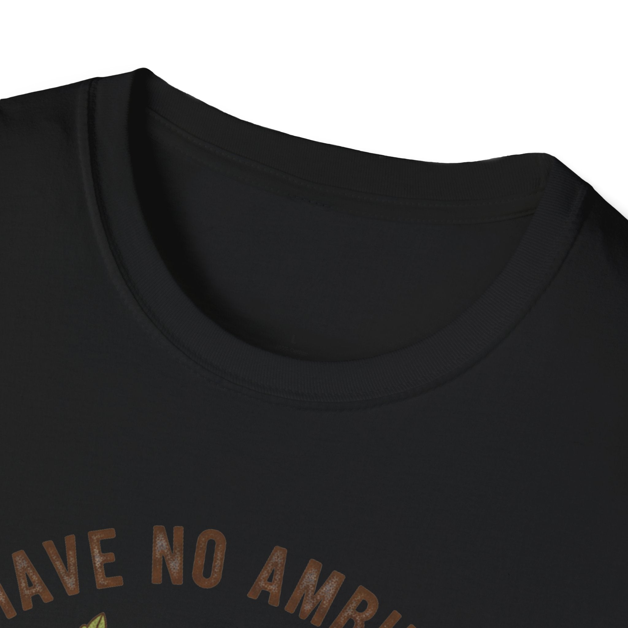 I Have No Ambitions T-Shirt